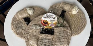 Alunos da Princesa Isabel fazem atividades alusivas à Semana do Agricultor