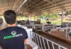Acesso a crédito digital por pequenos e médios produtores salta mais de 400% no Sul do Brasil