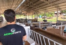 Acesso a crédito digital por pequenos e médios produtores salta mais de 400% no Sul do Brasil