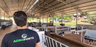 Acesso a crédito digital por pequenos e médios produtores salta mais de 400% no Sul do Brasil