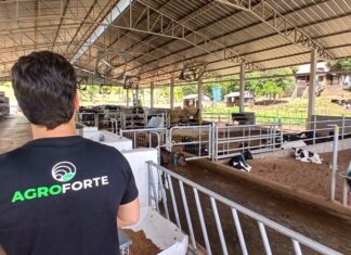 Acesso a crédito digital por pequenos e médios produtores salta mais de 400% no Sul do Brasil