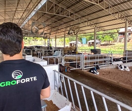 Acesso a crédito digital por pequenos e médios produtores salta mais de 400% no Sul do Brasil