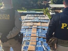 ABORDAGEM A CAMINHÃO POR DIREÇÃO PERIGOSA TERMINA COM MACONHA ESCONDIDA NO TETO EM TOLEDO