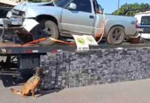 Após perseguição, motorista é preso com cerca de 900 celulares contrabandeados em Toledo