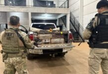 Barracão abandonado escondia mais de 4 toneladas de maconha em Toledo