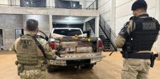 Barracão abandonado escondia mais de 4 toneladas de maconha em Toledo