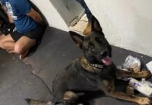 Cão encontra crack e cocaína e três acabam presos na região
