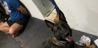 Cão encontra crack e cocaína e três acabam presos na região