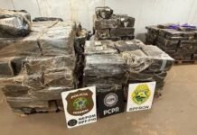 Cerca de uma tonelada de maconha é apreendida em veículo roubado no distrito de Sub-Sede, em Santa Helena