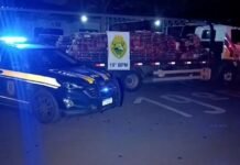 DENÚNCIA LEVA POLÍCIA A BARRACÃO COM 4,4 TONELADAS DE MACONHA EM TOLEDO