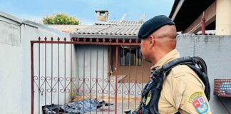 Funcionário mata patrão com golpe de canivete e se entrega à polícia em Foz do Iguaçu