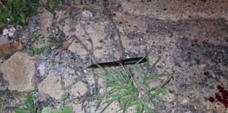 Homem é ferido por golpes de faca durante a madrugada no Cascavel Velho
