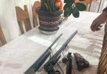 Homem é preso por violência contra companheira e Guarda Municipal apreende três armas no interior de Toledo