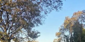 Idoso acidentado em Nova Santa Rosa é transferido em estado grave para hospital de Toledo