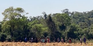 Invasão de propriedade rural mobiliza forças de segurança em Terra Roxa