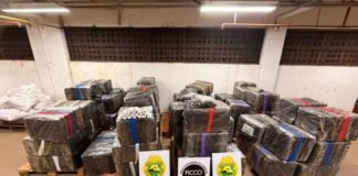 MAIS DE 4,2 TONELADAS DE DROGAS SÃO APREENDIDAS NA BR-277