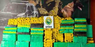 Mais de 800 kg de maconha são encontrados em Saveiro na PR-323
