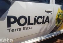 Motorista tem caminhonete roubada ao parar para prestar socorro em Terra Roxa
