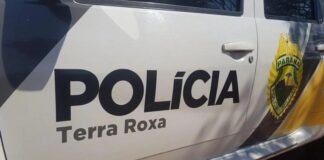 Motorista tem caminhonete roubada ao parar para prestar socorro em Terra Roxa