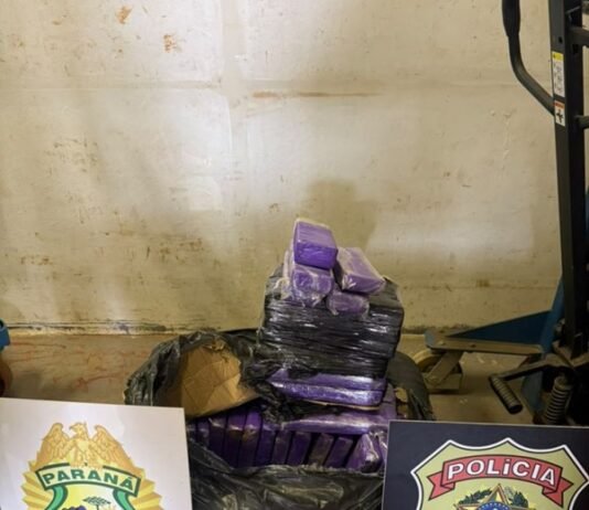 Operação apreende 71 quilos de maconha e prende quatro suspeitos em Santa Tereza do Oeste