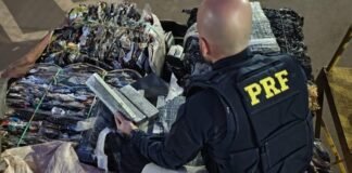 Polícia Rodoviária Federal apreende mais de uma tonelada de maconha na br-277 em Cascavel
