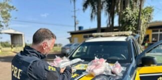 PRF APREENDE 16,2 QUILOS DE HAXIXE DRY ESCONDIDOS EM TANQUE DE COMBUSTÍVEL NA BR-277, EM SANTA TEREZINHA DE ITAIPU