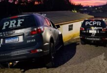 PRF e PCPR prendem 10 integrantes de organização criminosa especializada em roubos de cargas na BR-116