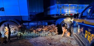 PRF localiza quase 300 kg de cocaína em tanque de carreta na região metropolitana de Curitiba