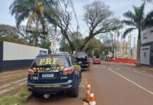 PRF prende homem que tentou atropelar policial e fugir de abordagem na BR-277
