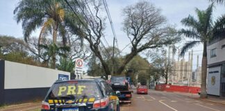 PRF prende homem que tentou atropelar policial e fugir de abordagem na BR-277