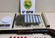 Polícia apreende espingarda, munições, drogas e prende mulher suspeita de tráfico em Terra Roxa