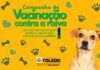 Proteção e Defesa Animal promoverá vacinação de cães e gatos contra a raiva
