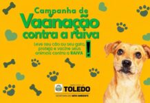 Proteção e Defesa Animal promoverá vacinação de cães e gatos contra a raiva