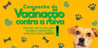 Proteção e Defesa Animal promoverá vacinação de cães e gatos contra a raiva