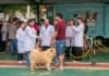 Secretaria do Meio Ambiente vacina cerca de 400 cães e gatos contra a raiva
