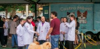 Secretaria do Meio Ambiente vacina cerca de 400 cães e gatos contra a raiva