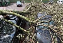 Temporal causa estragos, derruba árvores, atinge veículos e deixa moradores sem energia em Cascavel