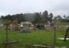 Tornado causa danos no campo e Sistema FAEP orienta produtores sobre registros