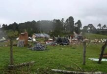 Tornado causa danos no campo e Sistema FAEP orienta produtores sobre registros