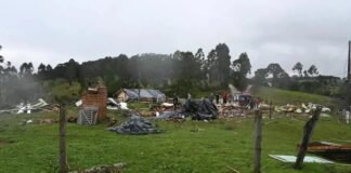Tornado causa danos no campo e Sistema FAEP orienta produtores sobre registros