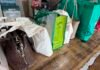 Trabalhadoras da Acatol recebem kits de higiene pessoal pelo Agosto Lilás
