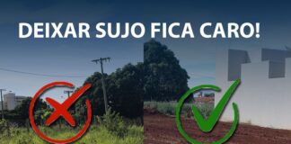Prefeitura de Toledo notifica proprietários de 32 terrenos sem limpeza; multas somam R$ 58,8 mil