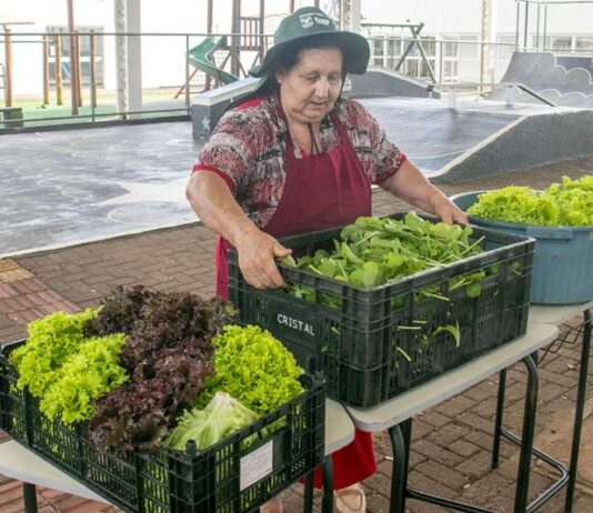 Produtores vendem primeira colheita de hortaliças do Horta Agrocidadão