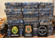 AÇÃO POLICIAL APREENDE 708 QUILOS DE MACONHA E DUAS ARMAS EM CHÁCARA DE TOLEDO