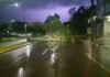 Árvore cai durante a madrugada e bloqueia avenida em Toledo