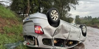 Árvore cai sobre a PR-589 e provoca acidente com dois veículos entre Nova Santa Rosa e Toledo
