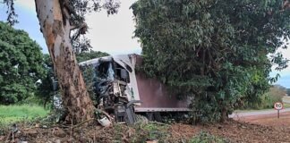 CARRETA SAI DA PISTA E BATE VIOLENTAMENTE CONTRA ÁRVORE NA PR-182 EM PALOTINA