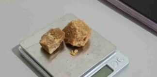 CRACK E VÁRIAS FERRAMENTAS SÃO APREENDIDOS DURANTE BUSCAS EM CASA DE TOLEDO