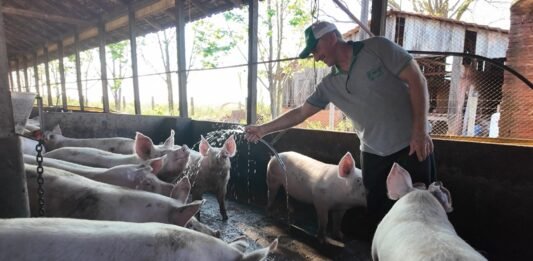 Corretor molecular na água: tecnologia desperta interesse para consumo humano e na suinocultura