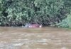 Corpo é encontrado as margens do Rio Piquiri em Palotina